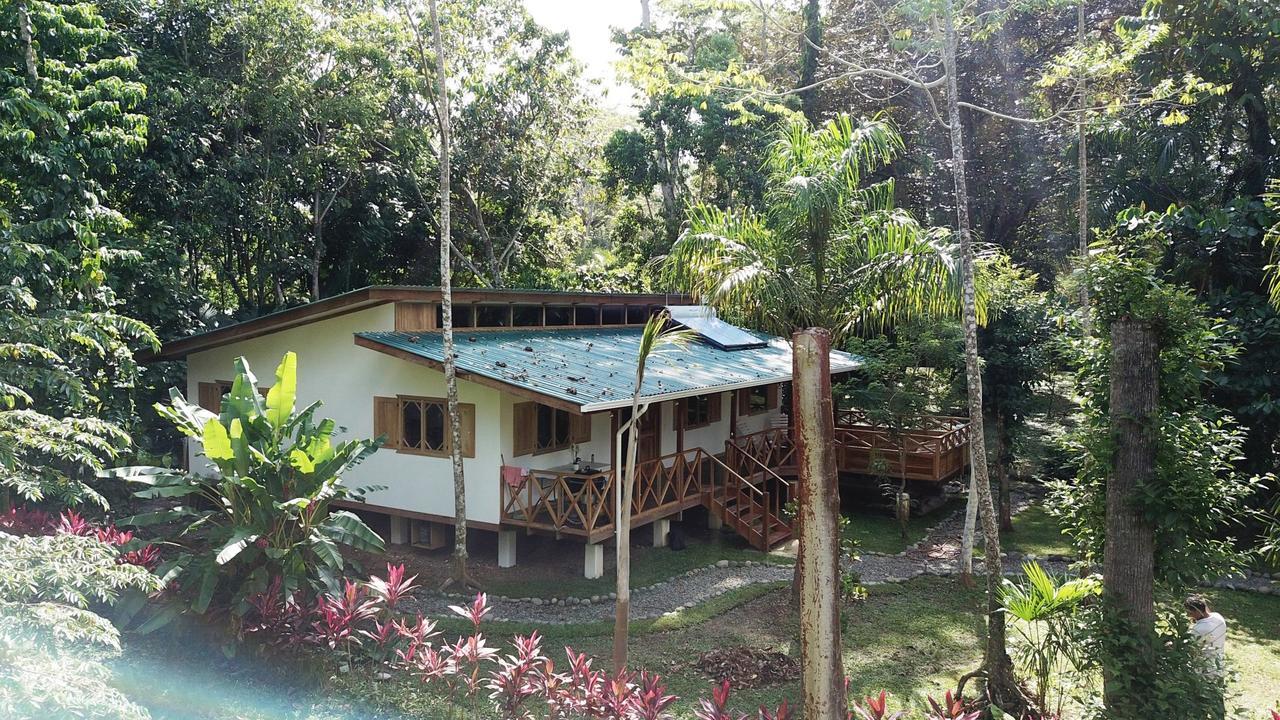 Casa Del Congo Cahuita Exterior photo